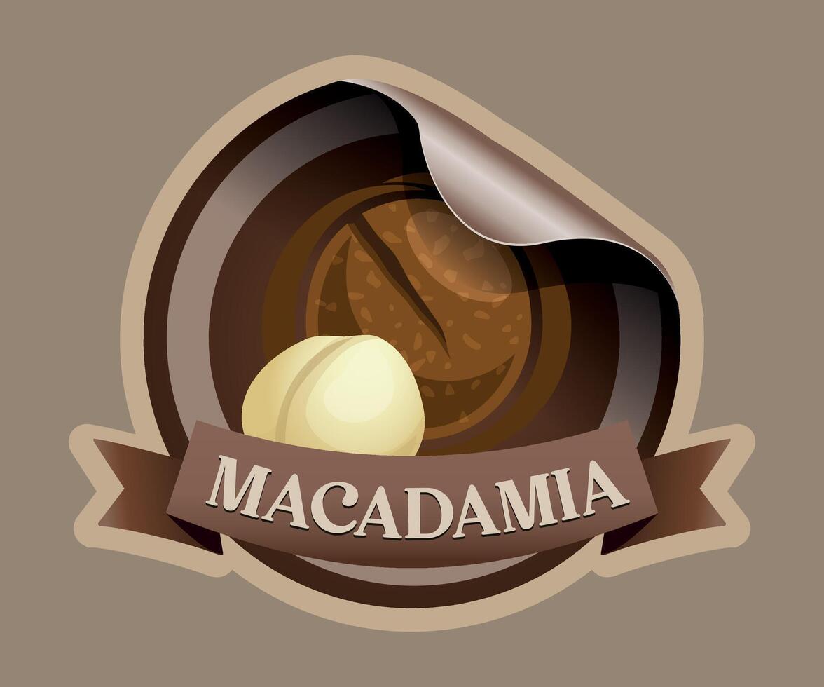 brown macadamia nut jar sticker on light brown background vector