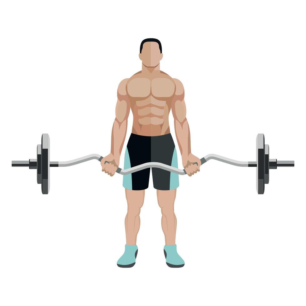 sportsman bodybuilder lightweight athlete with barbell on white background vector