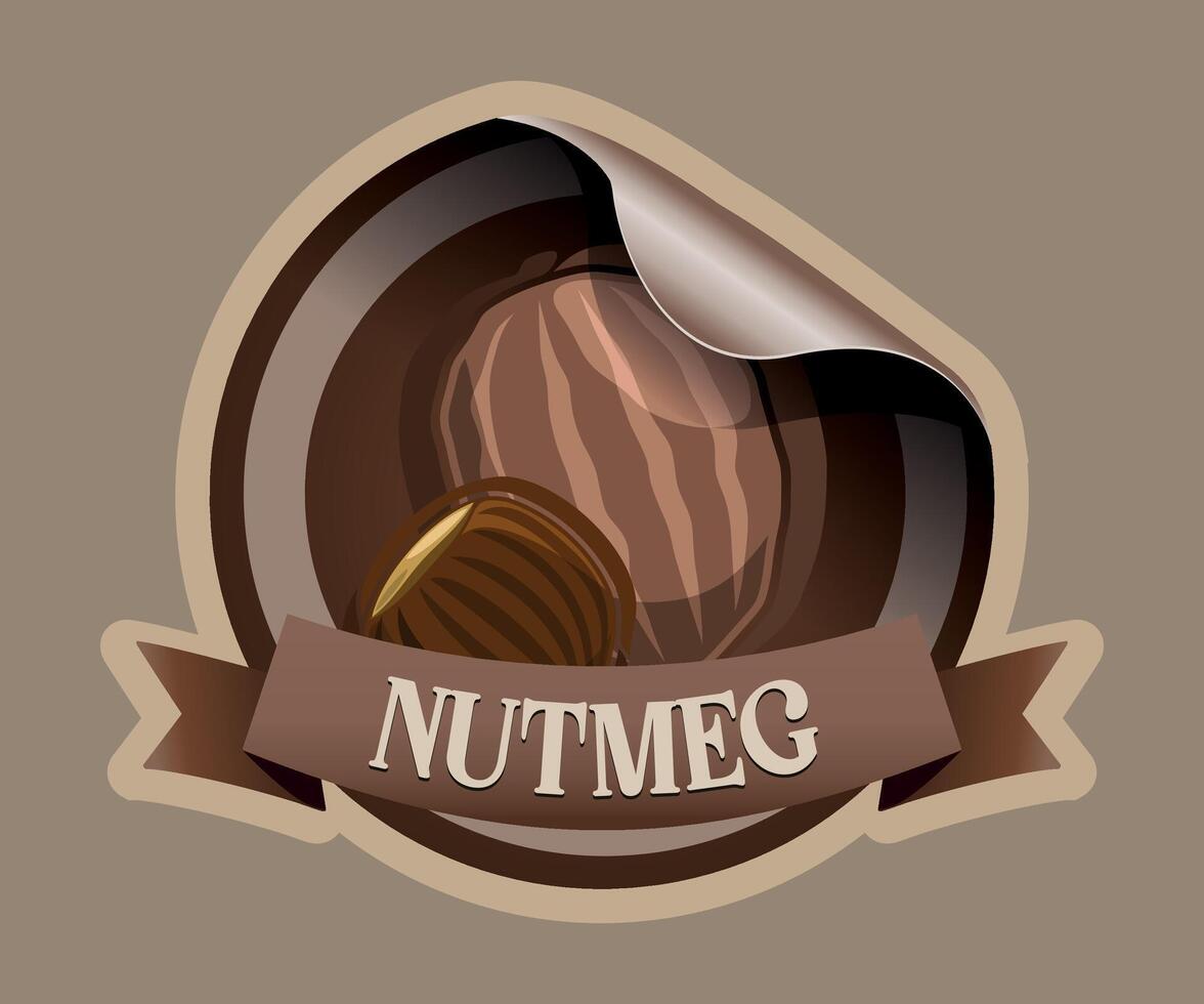 brown nutmeg nut jar sticker on light brown background vector