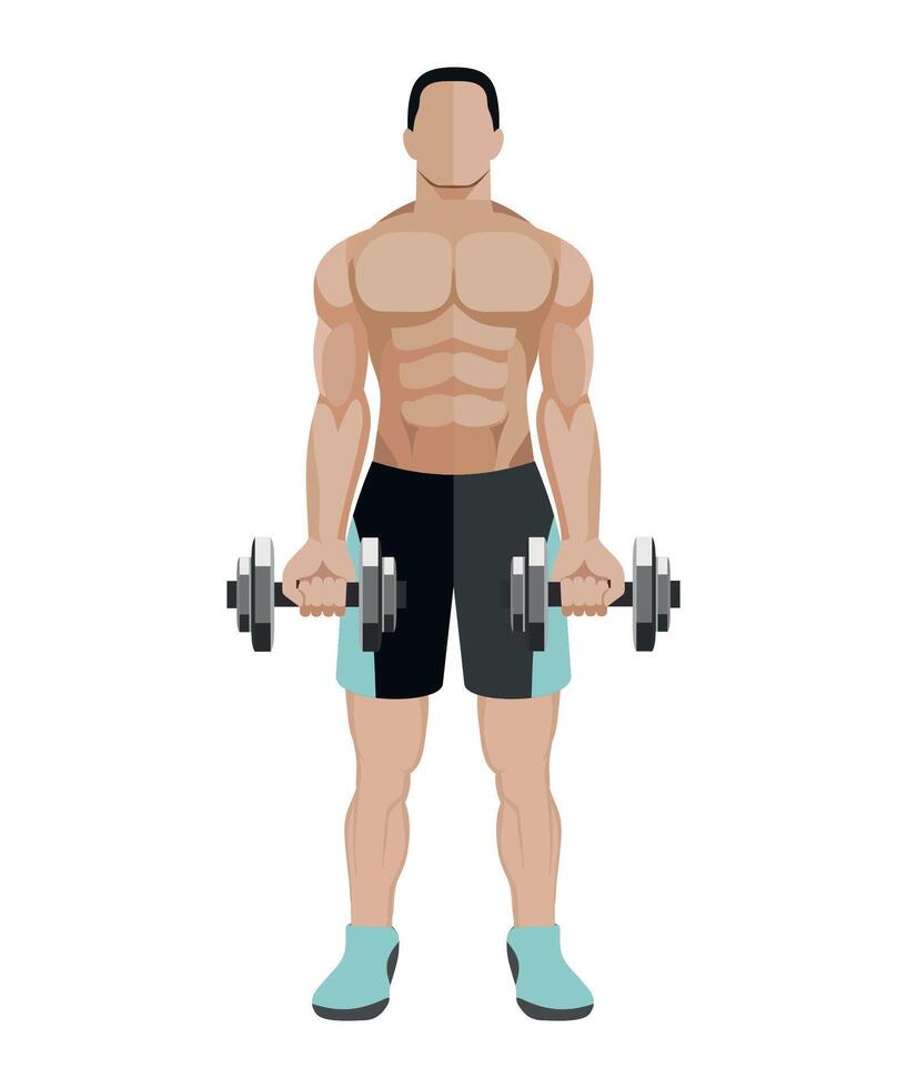 sportsman bodybuilder lightweight athlete with dumbbells isolated vector