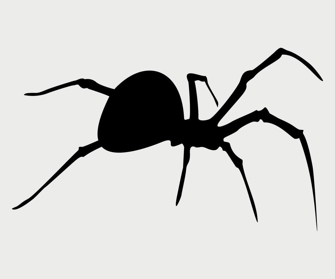 black and white icon of karakurt spider isolated on white background vector