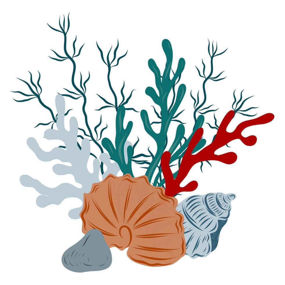 Underwater composition of coral reef, algae and seashell. Hand drawn underwater elements. Art of nautical elements vector