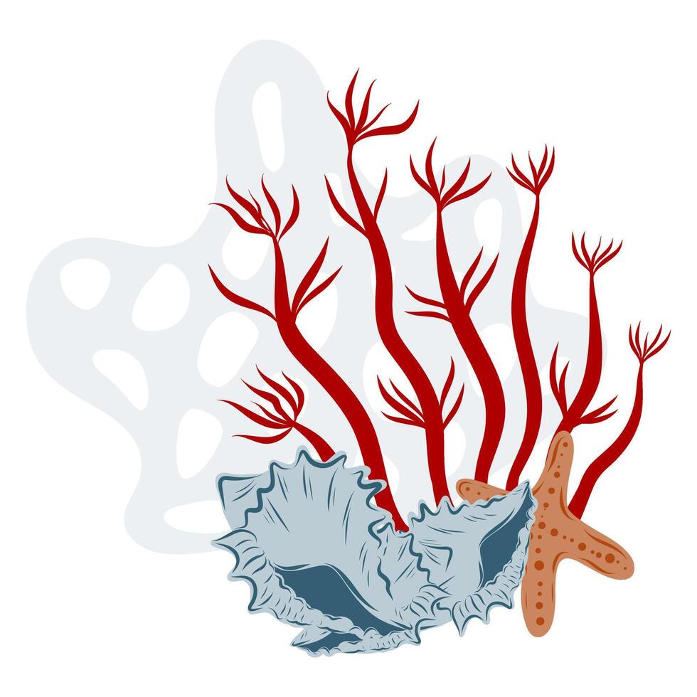Hand drawn coral reefs with seashells and starfish. Underwater composition with seaweed, illustration vector