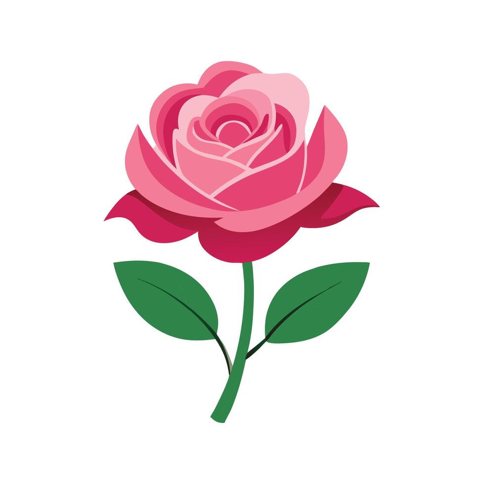 Pink Rose Blossom minimalist vector