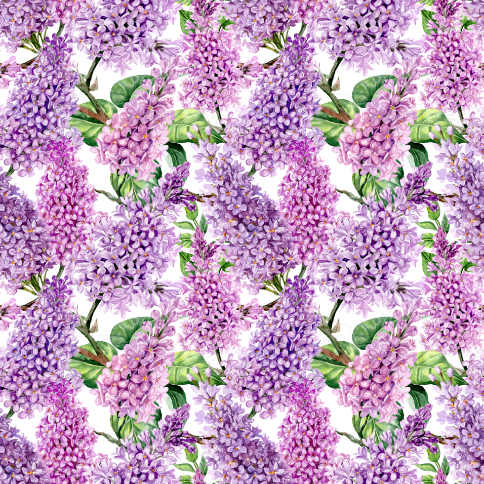 Seamless pattern with hand painted lush lilac isolated from background png