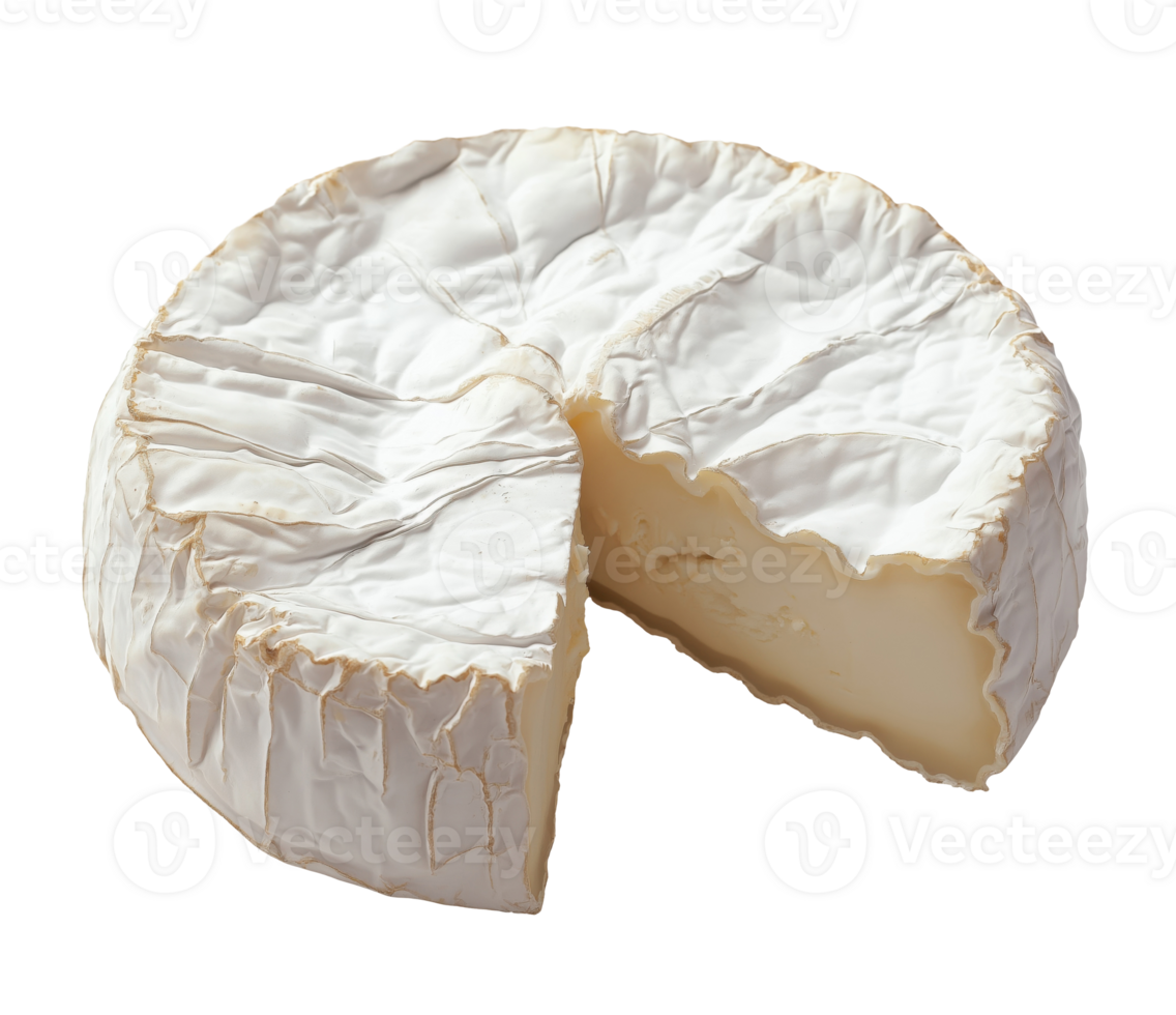 Camembert Cheese, Cut Out png