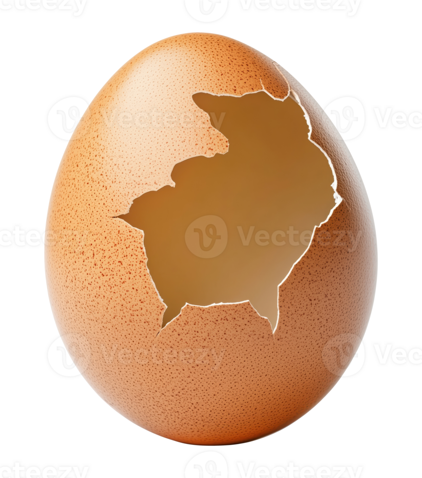 Broken Egg Shell, Cut out png