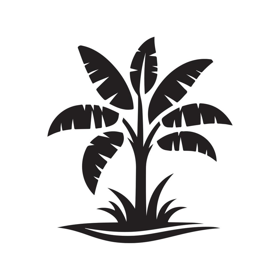 Black Silhouette of a Banana Tree vector