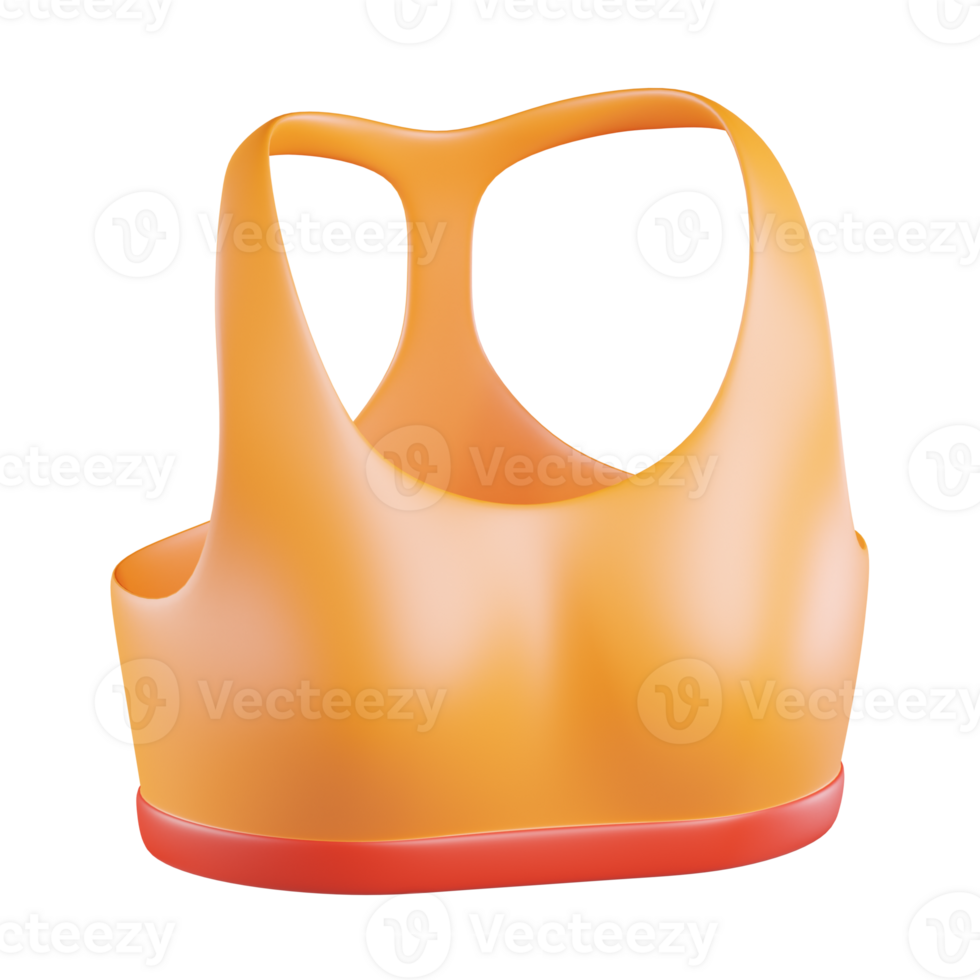 Sport Bra 3D Icon png