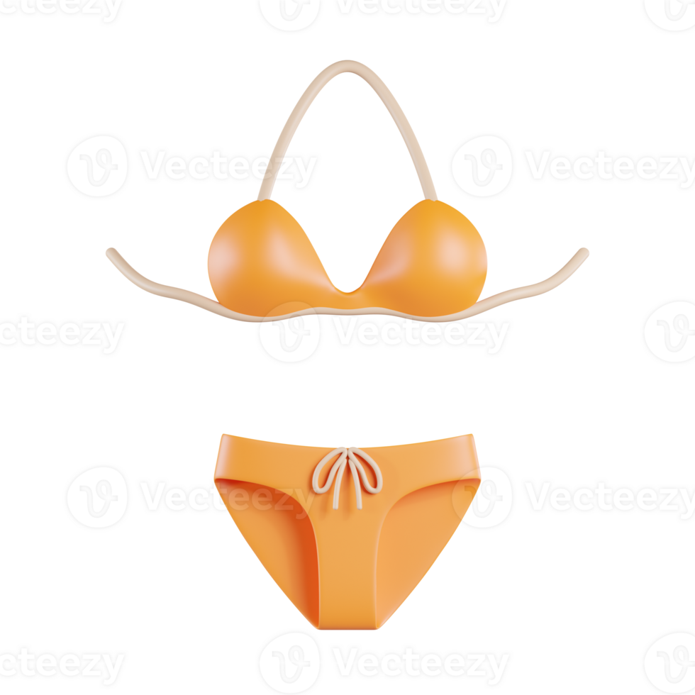 Bikini 3D Icon png