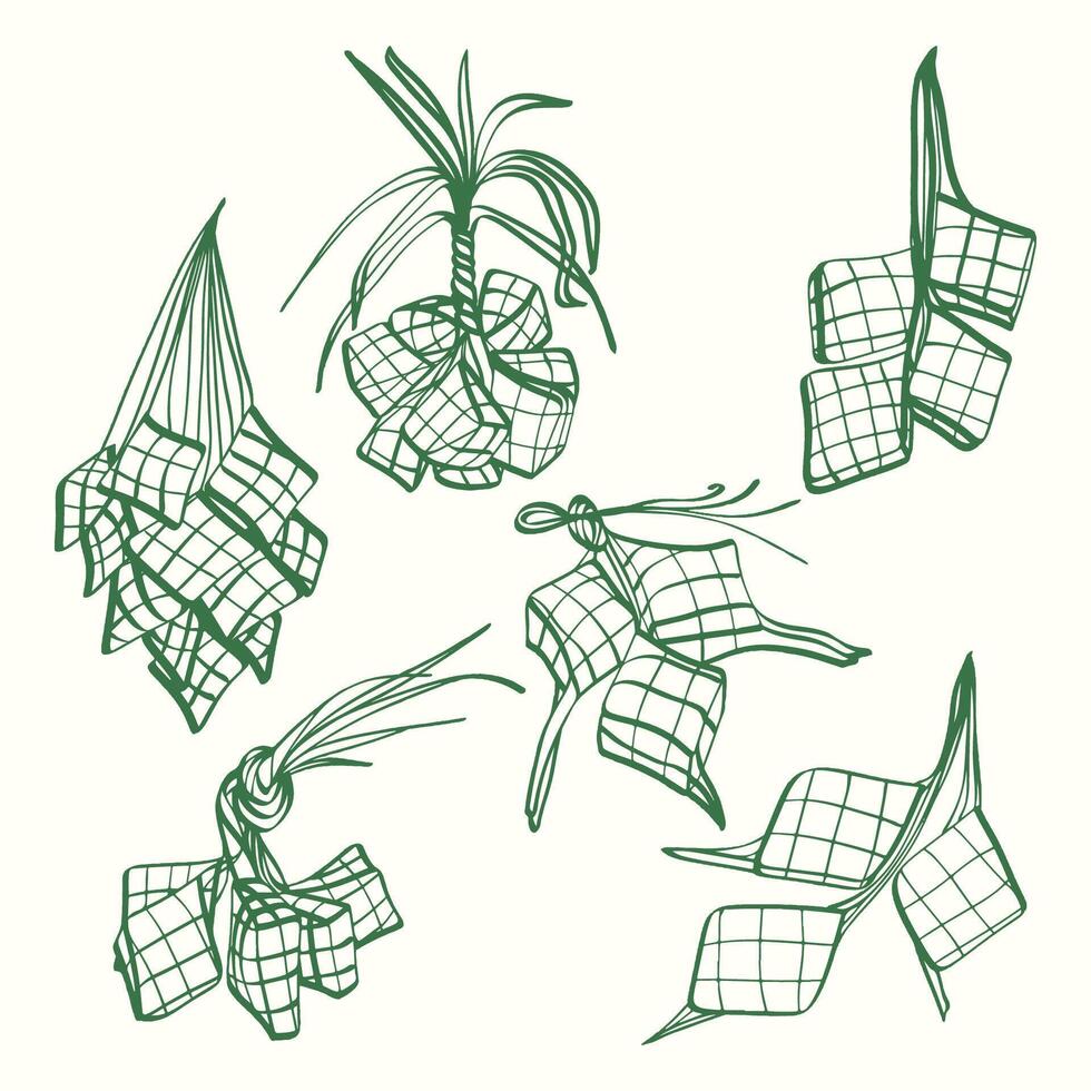 Ketupat A Collection of Hand-Drawn Illustrations vector