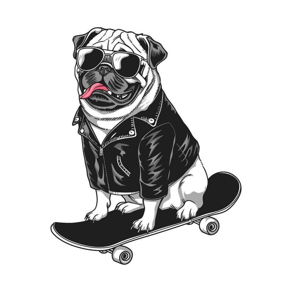 Stylish pug on a skateboard, wearing sunglasses and a leather jacket vector