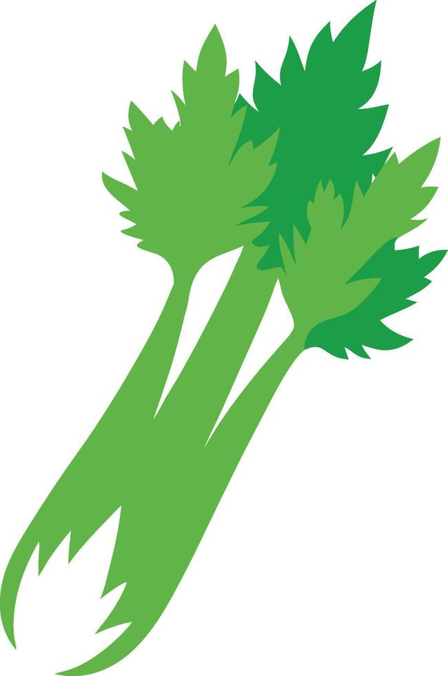 Celery vegetable illustration vector