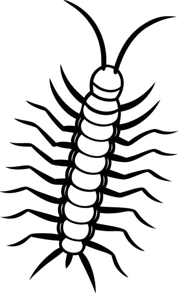 Detailed Centipede Silhouette with Numerous Legs vector