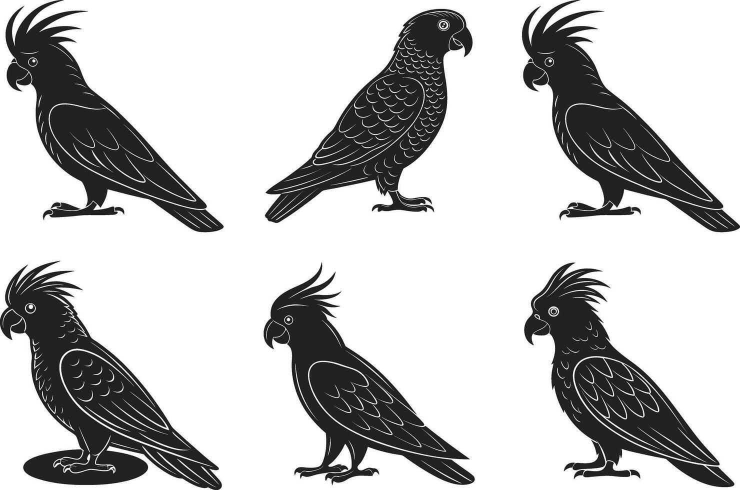 Black Cockatoo Figure vector