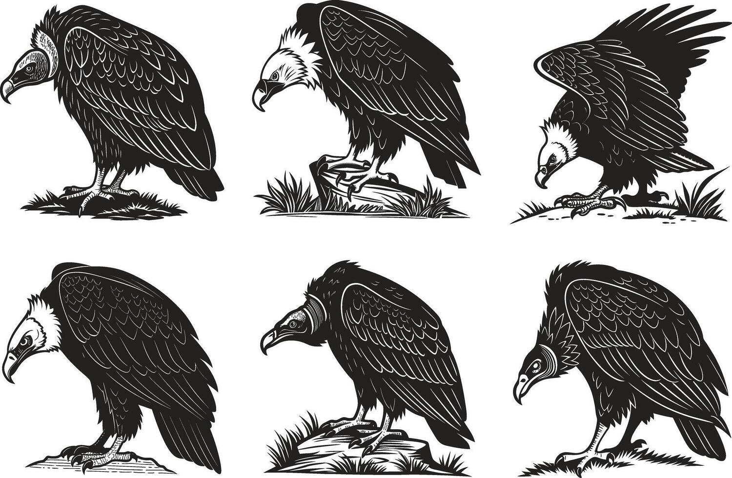 Majestic Vultures Silhouette Collection vector