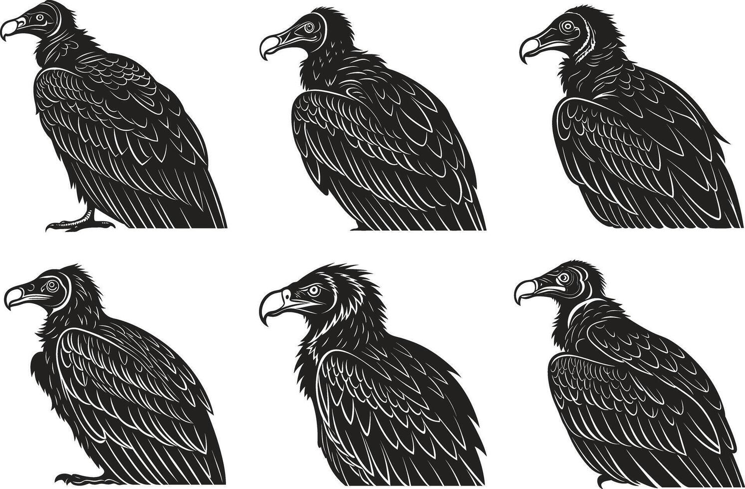 Majestic Vultures Design Set vector