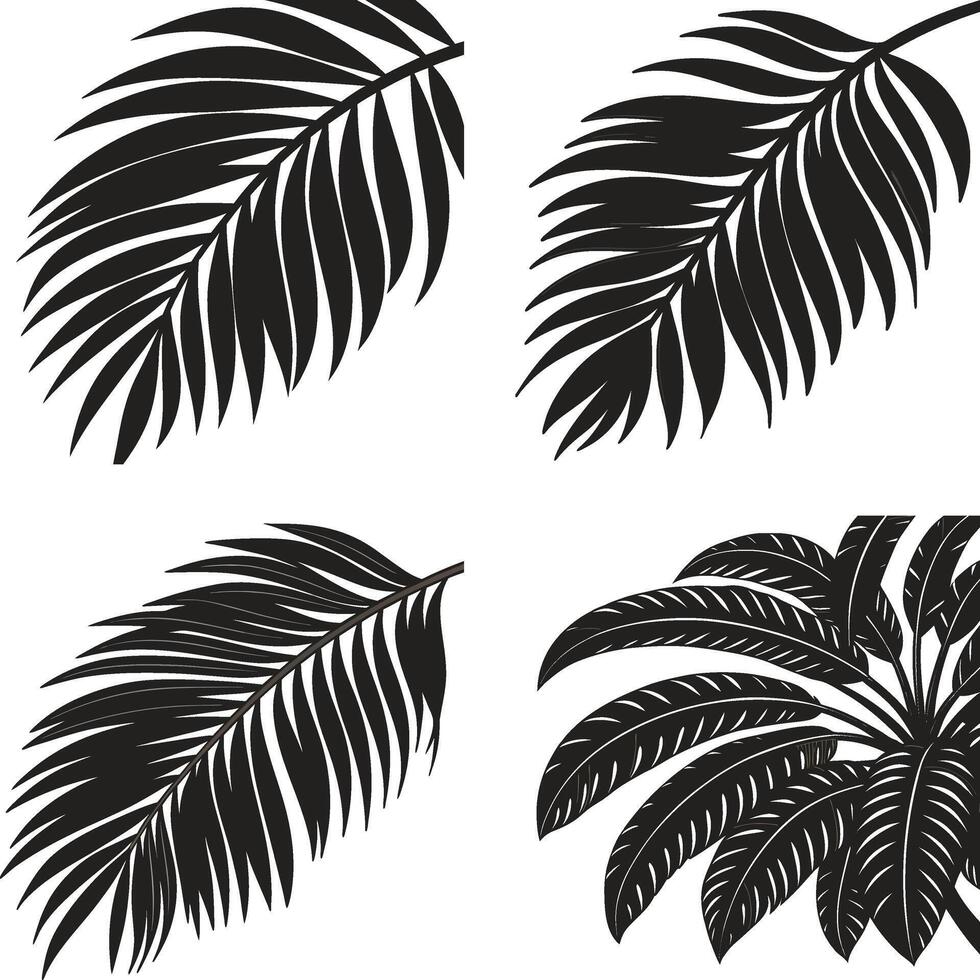 Elegant Palm Silhouettes with Tropical Foliage in Black and White vector