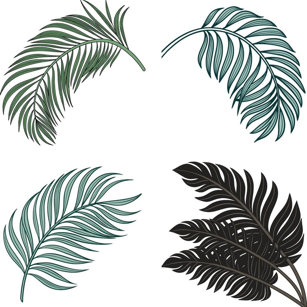 Tropical Foliage and Elegant Palm Silhouettes in Black and White vector