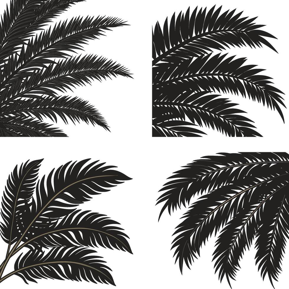 Black and White Palm Silhouette Collection with Tropical Foliage vector