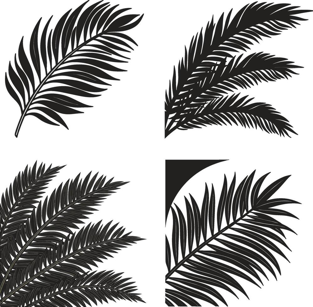 Black and White Palm Tree Silhouettes with Tropical Foliage vector
