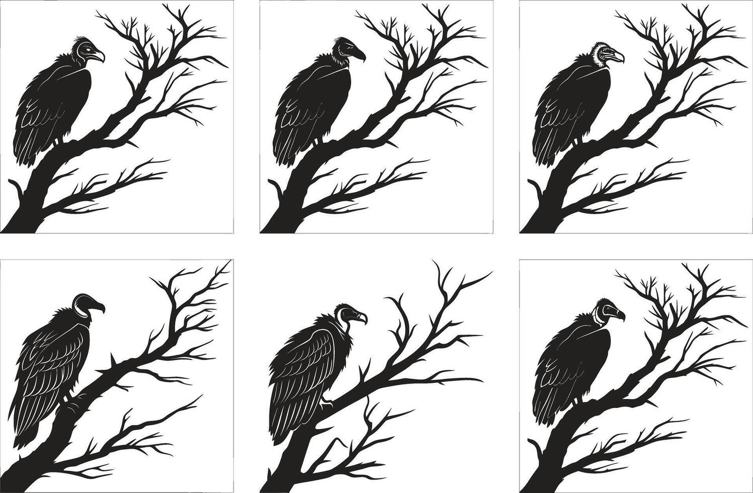 Dynamic Vulture Silhouette Pack vector