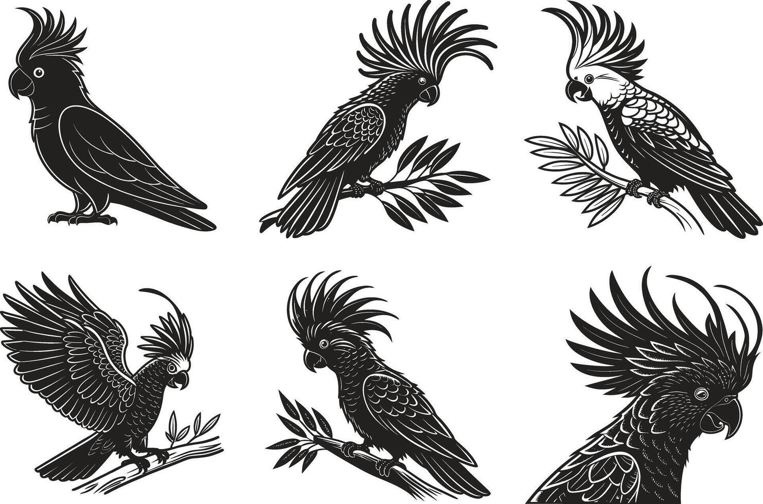 Exotic Cockatoo Bird Illustration vector