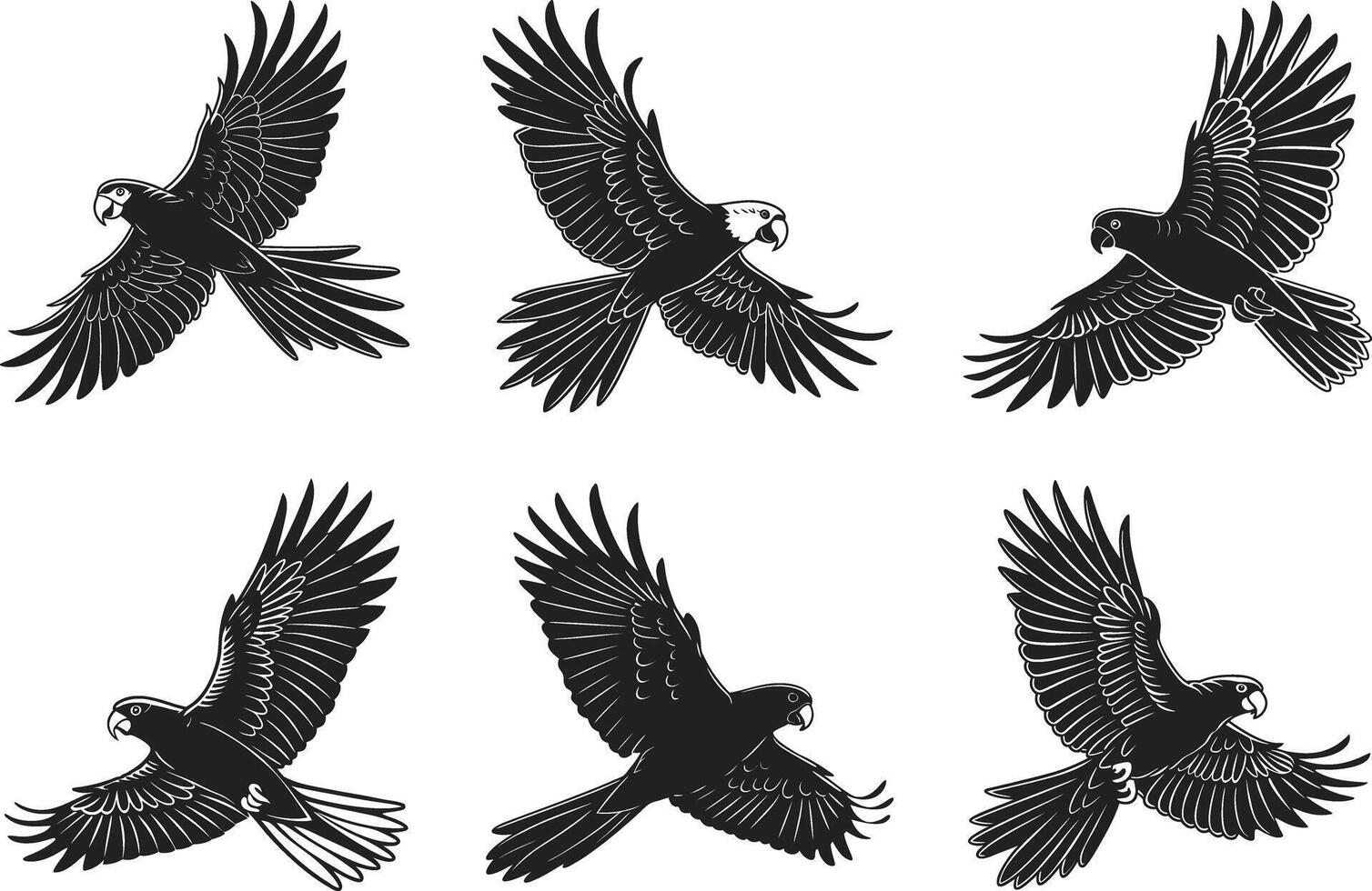 Black Cockatoo Bird Design vector