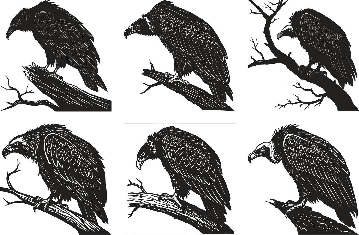 Vulture Dynamic Silhouette Design vector