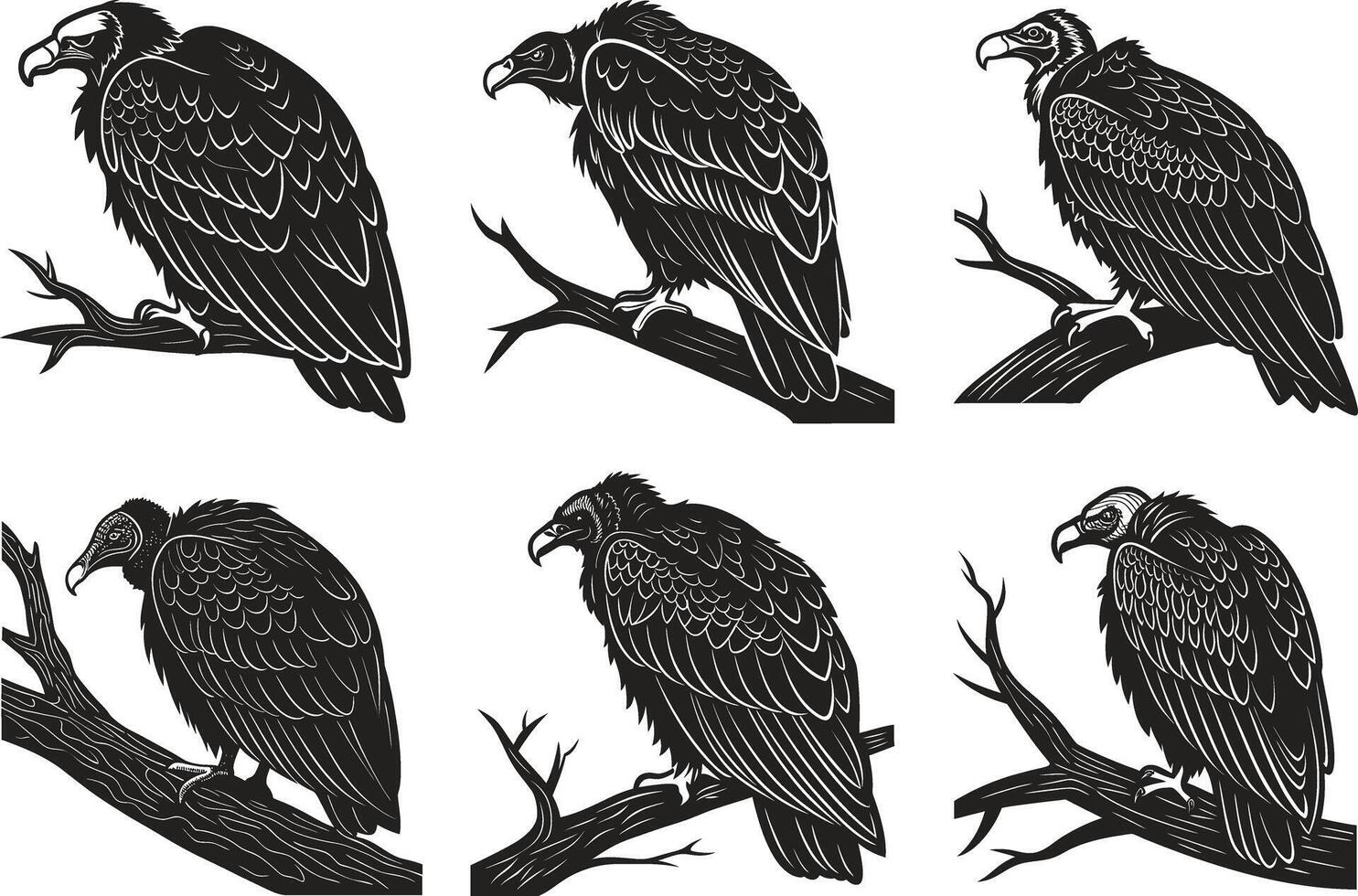 Dynamic Vultures Design Bundle vector