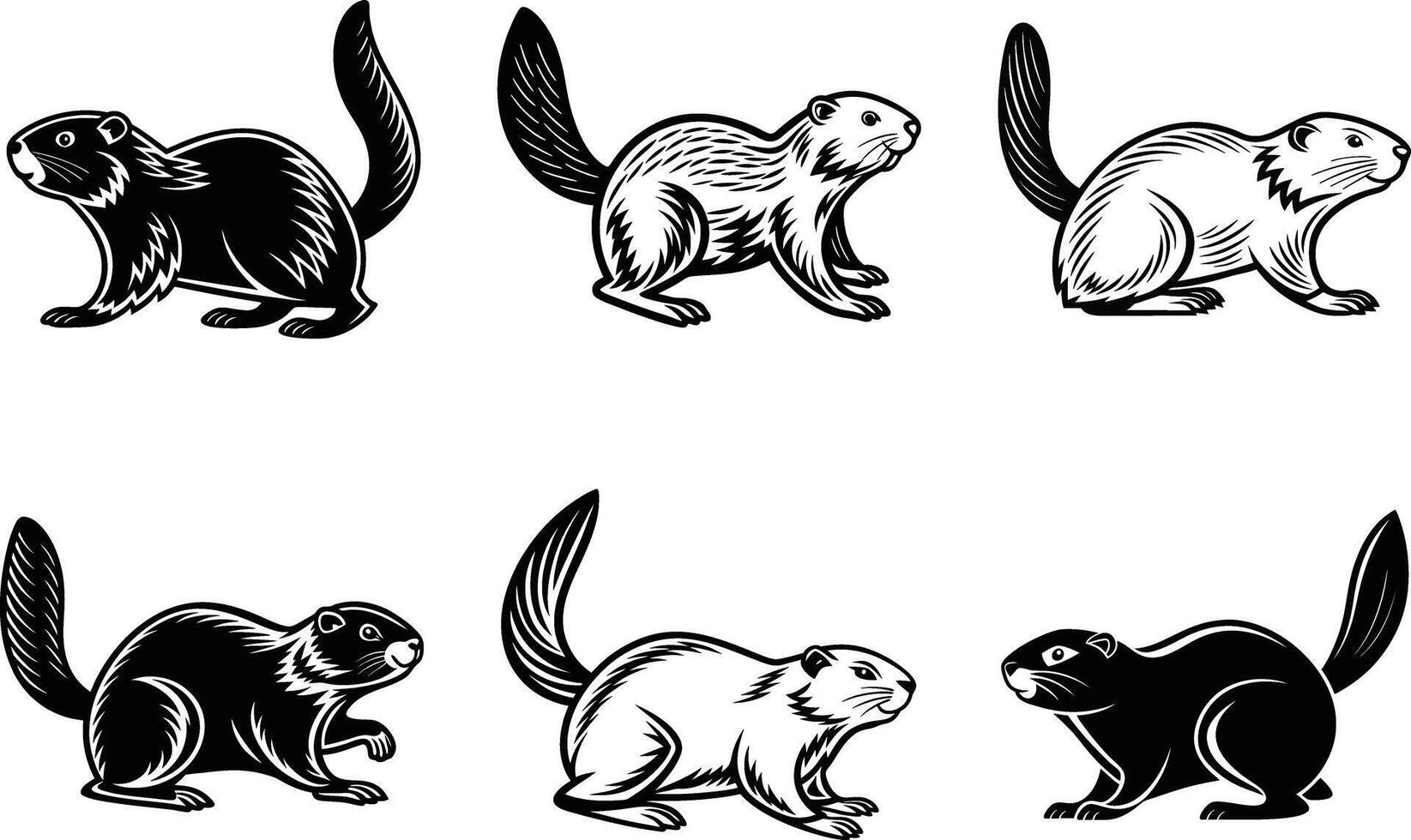 Beaver Black and White Illustration vector