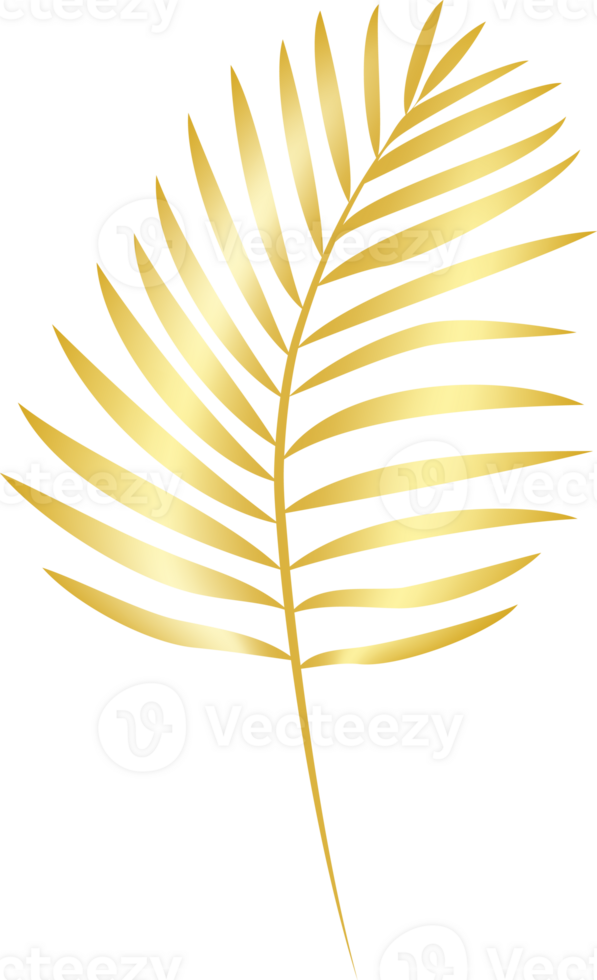 Elegant golden palm leaf. Isolated on transparent background. png