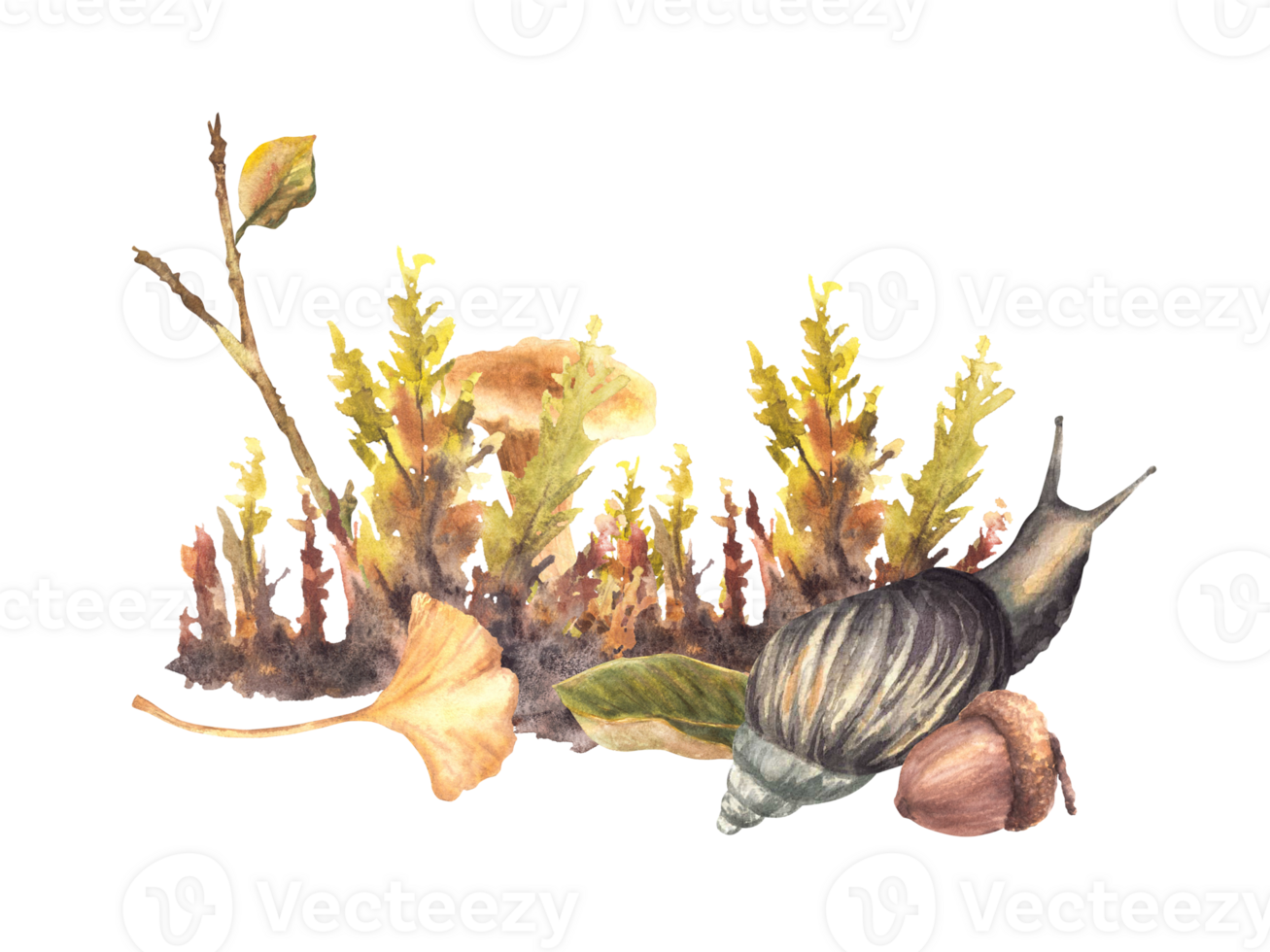 Chanterelle Mushroom with Snail. Autumn moos with acorn, yellow green leaves. Fall forest arrangement with brown slug. Watercolor hand painted illustration for card, poster. Isolated from background png