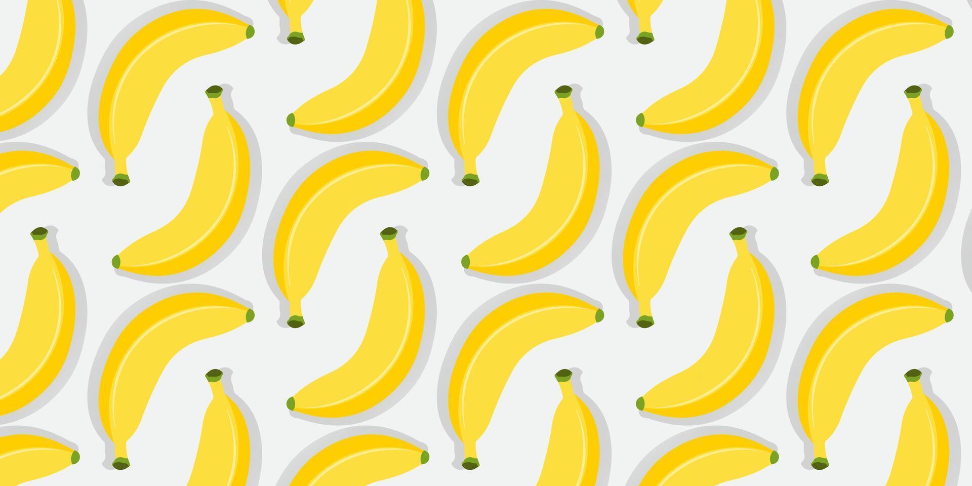 cute bananas on white background vector