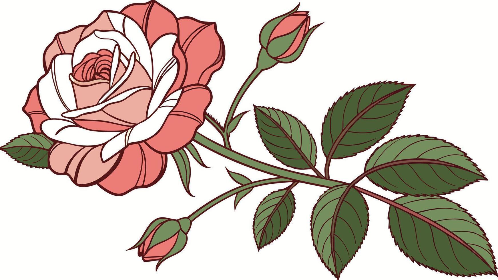 Delicate Coral and White Rose Branch Illustration vector