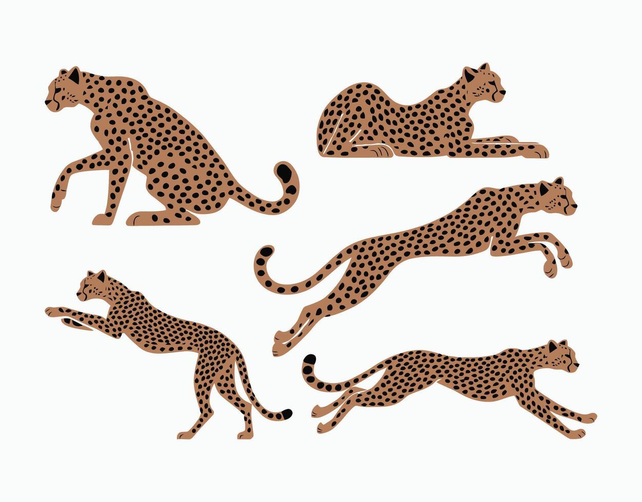 Elegant Cheetah Silhouette Collection Isolated Template vector