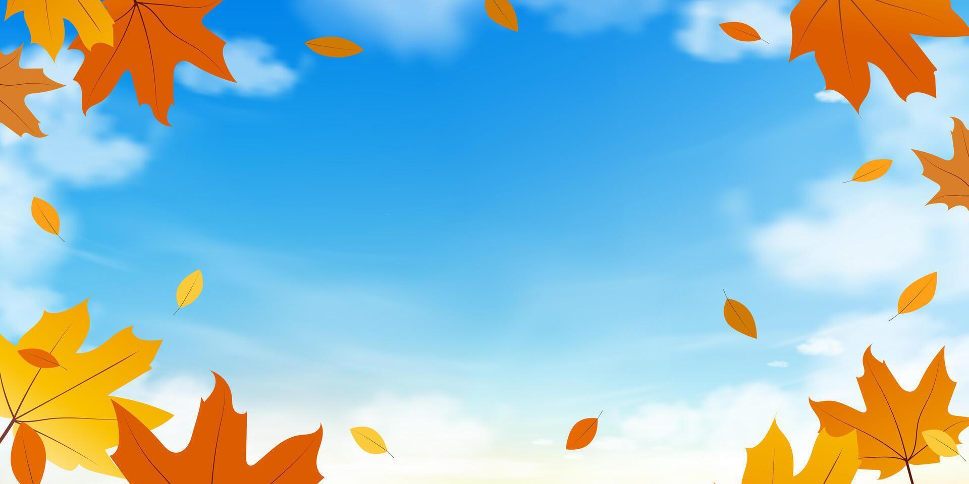 Sky blue background,Yellow,Orange Maple leaves flying on Autumn sky with dramatic cloud,Horizon landscape fall season of abstract cloudy, cartoon for Thanksgiving banner,card,invitation,poster vector