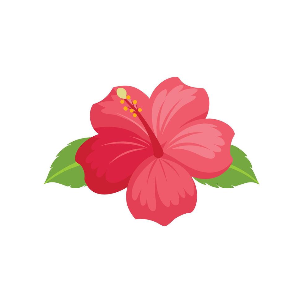 Hibiscus Flower isolated flat illustration on white background. vector