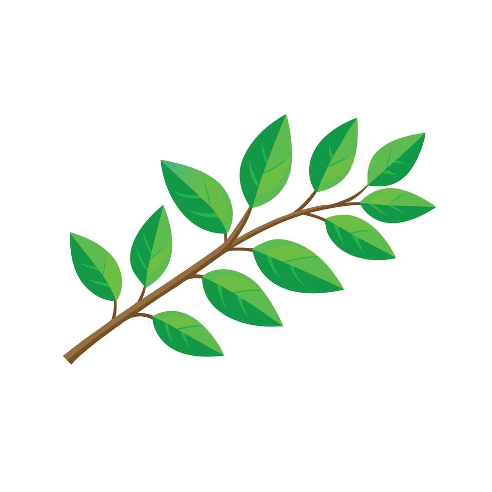 Fresh green leaves on a branch isolated flat illustration on white background vector