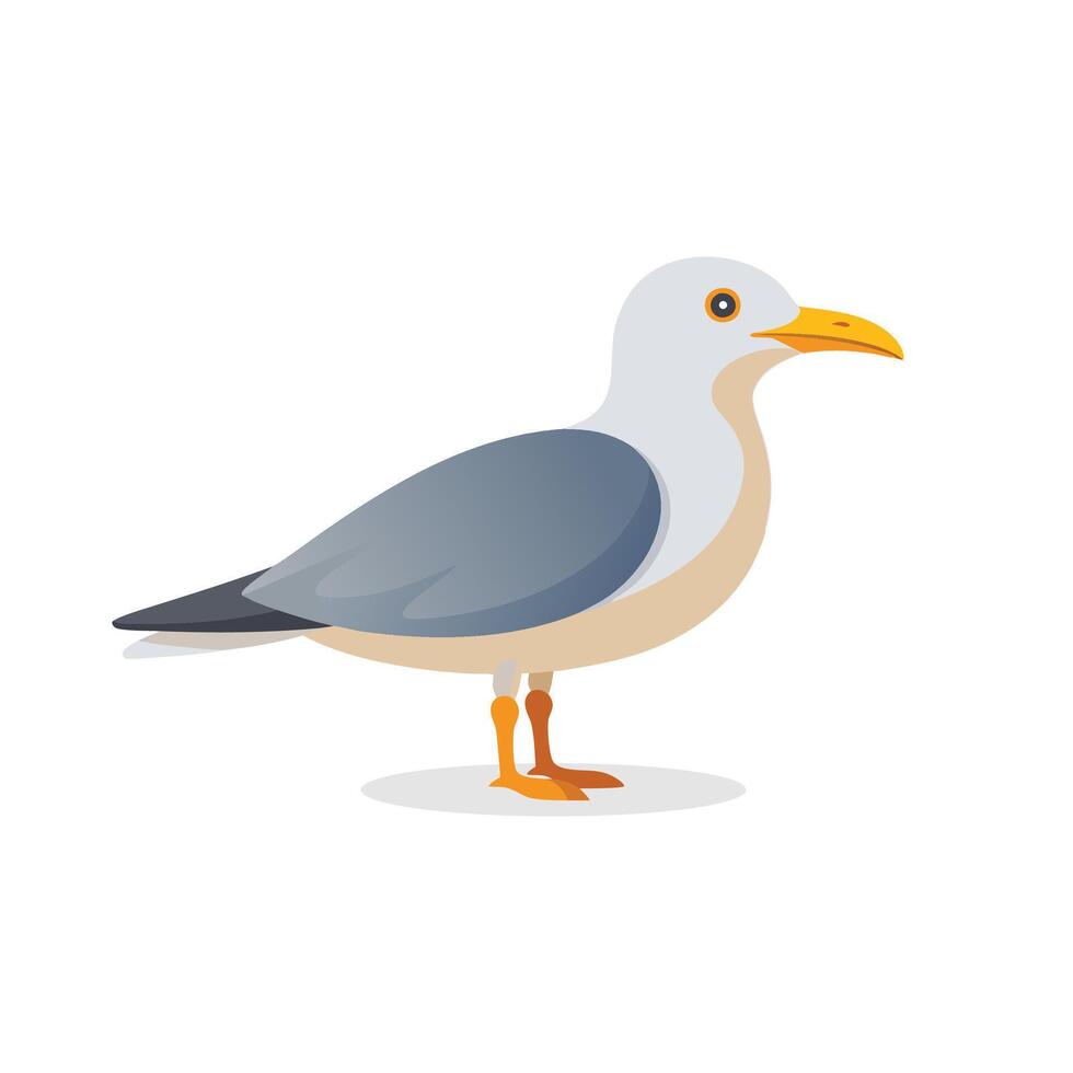 Seagull bird isolated flat illustration on white background vector