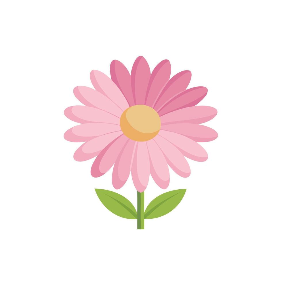 Pink daisy flower isolated flat illustration on white background. vector