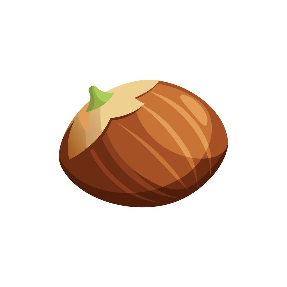 Delicious hazelnut isolated flat illustration on white background vector