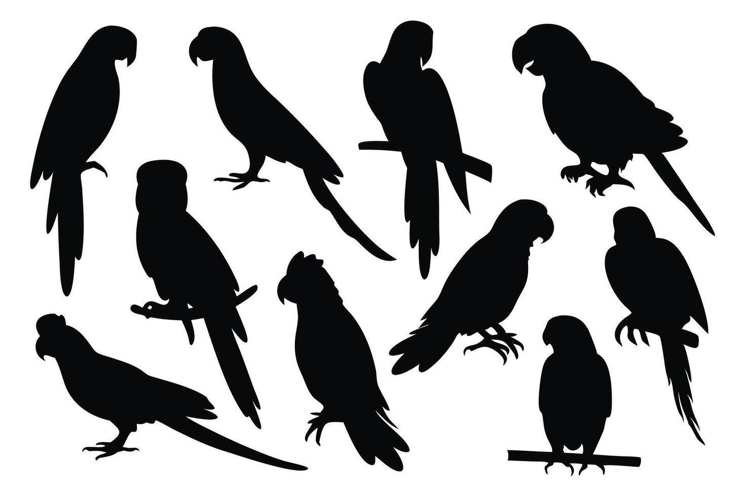 Parrots silhouettes set isolated flat illustration on white background vector