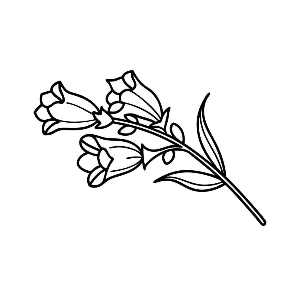 Foxglove flower Hand drawn line art flat illustration. vector