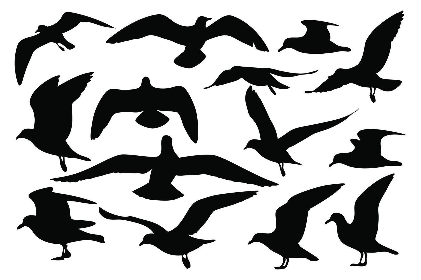 Eighting gull silhouettes set isolated flat illustration on white background. vector