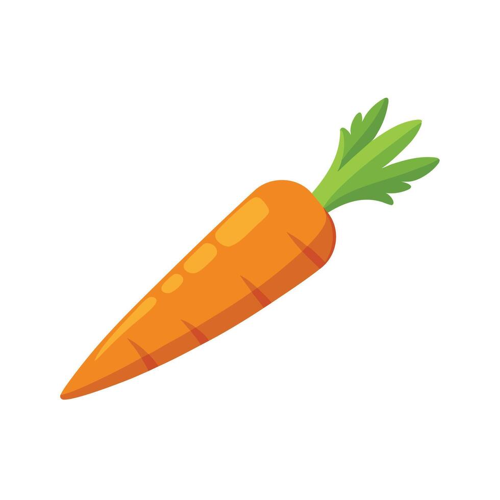Carrot isolated flat illustration on white background vector