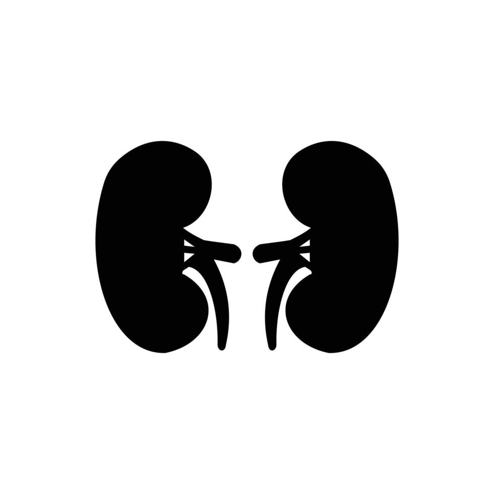 Kidney Silhouette icon. vector