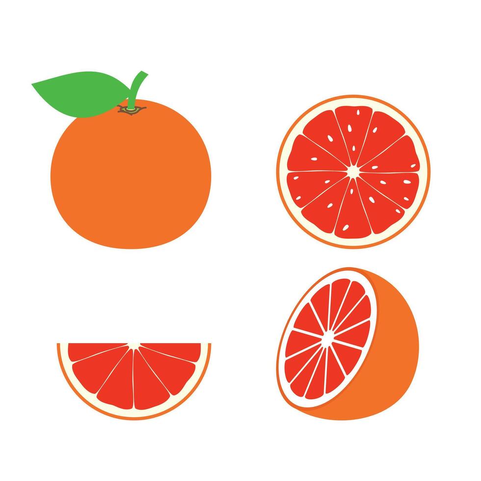 Fresh grapefruit with leaves. Half, slice, and whole of fruit, isolated on white background. Summer fruits for healthy lifestyle. Realistic illustration vector