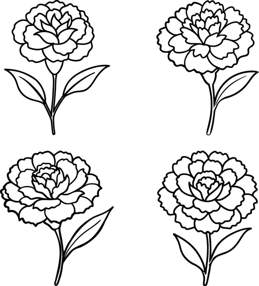 Selection of flower illustrations coloring page floral patterns in spring and summer colors vector