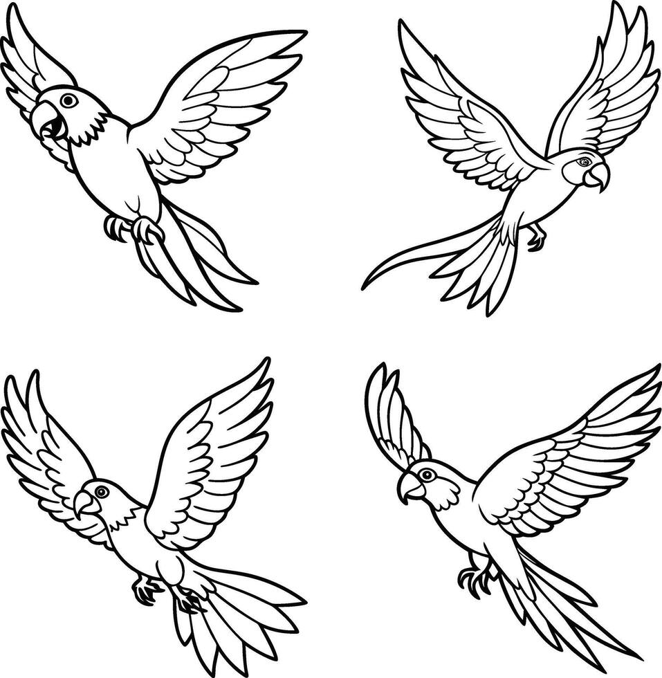 Parrot Line Art Coloring Page Detailed Bird Sketch Collection vector